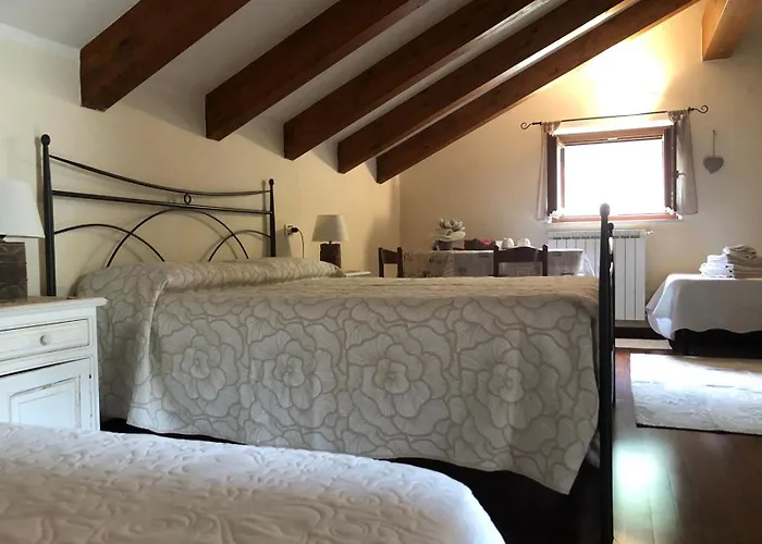 Bed and breakfast Mirbea