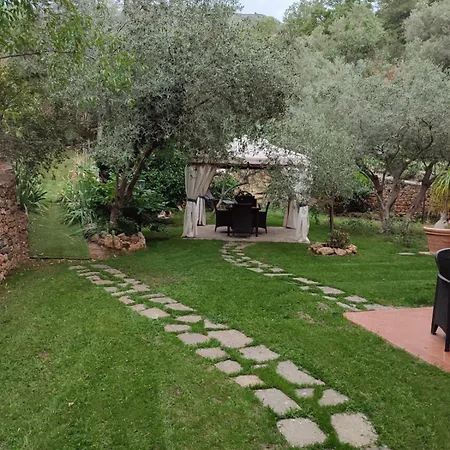 Bed and Breakfast Mirbea